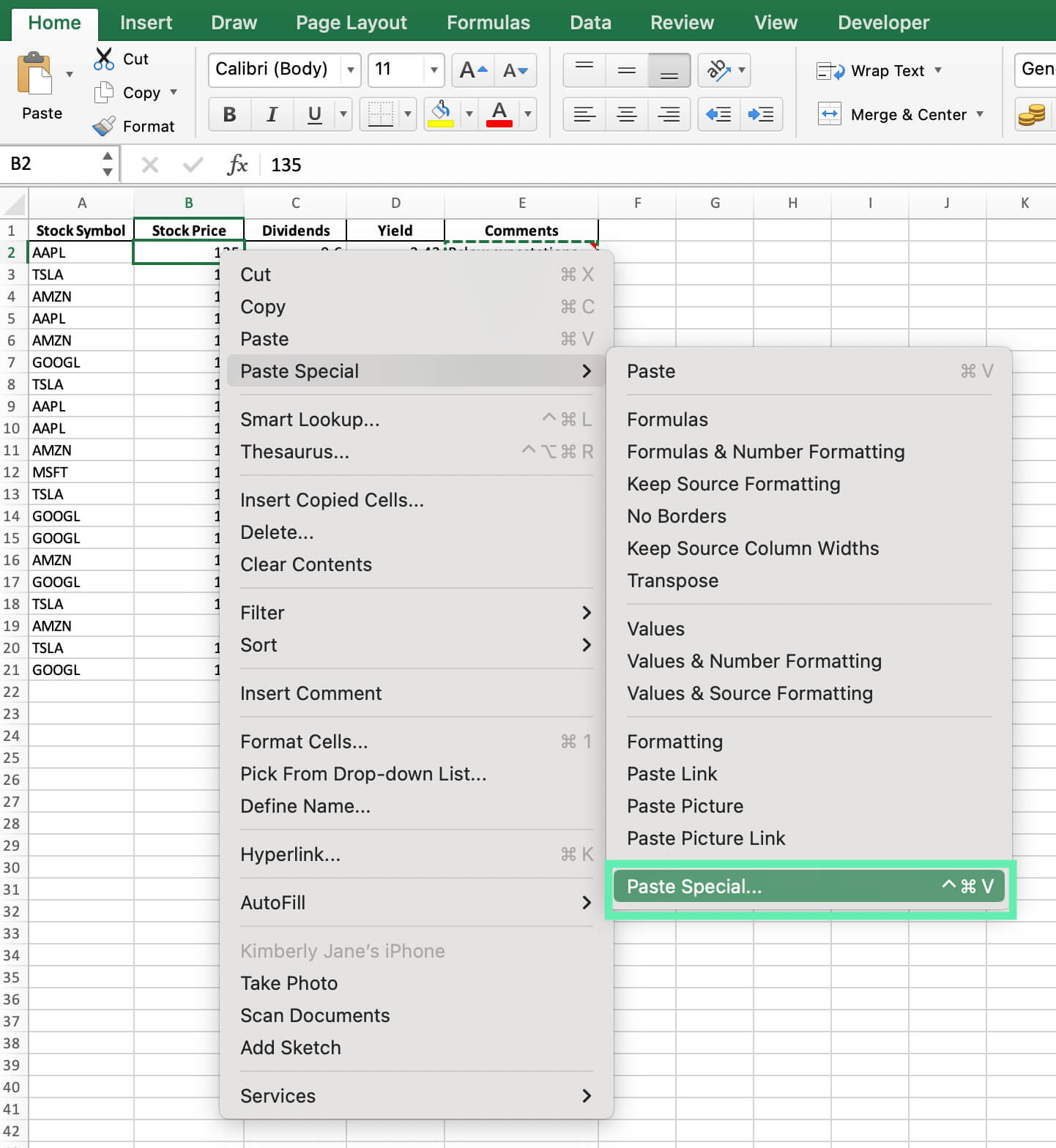 paste options excel