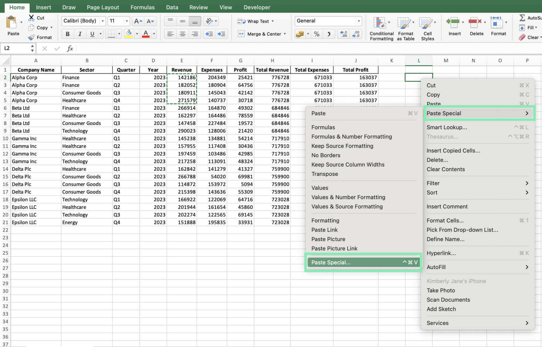 paste options excel