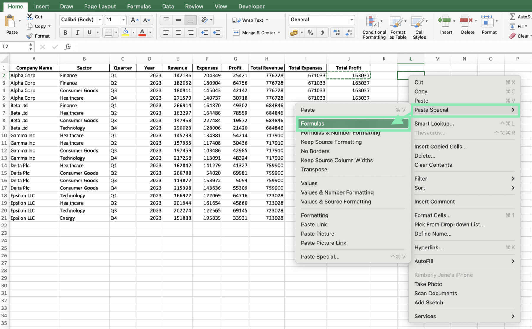 paste options excel