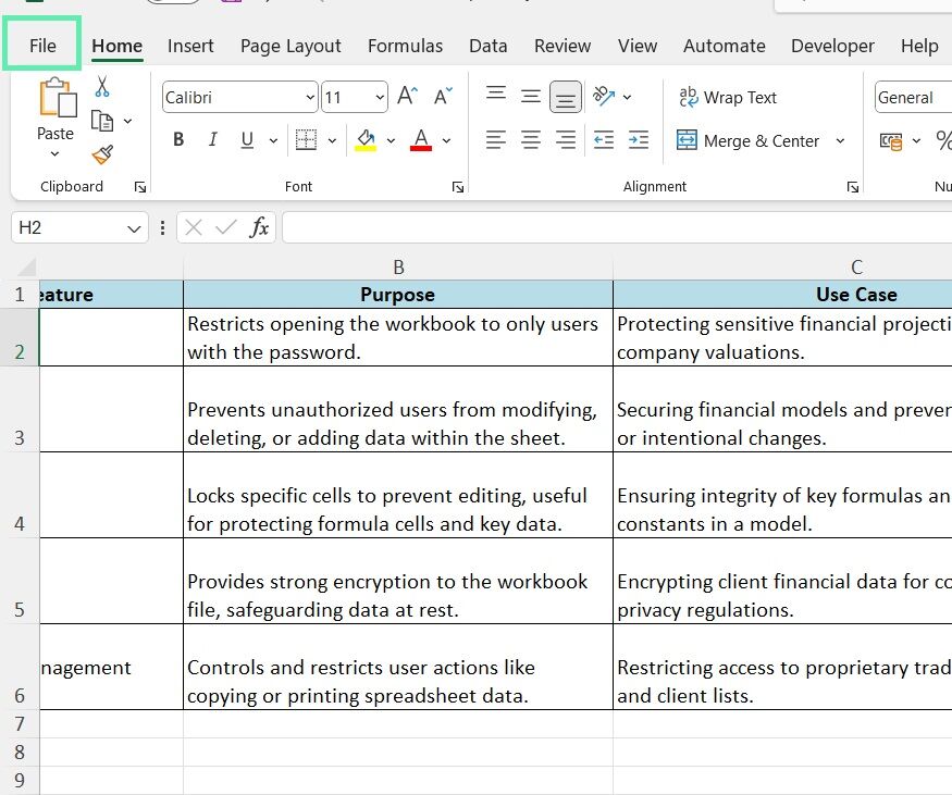 How To Protect Your Excel Workbook (Downloadable Template)